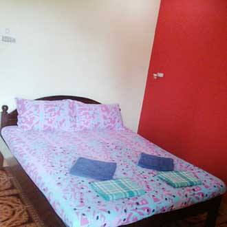 Joaquim Guest House, Goa 2